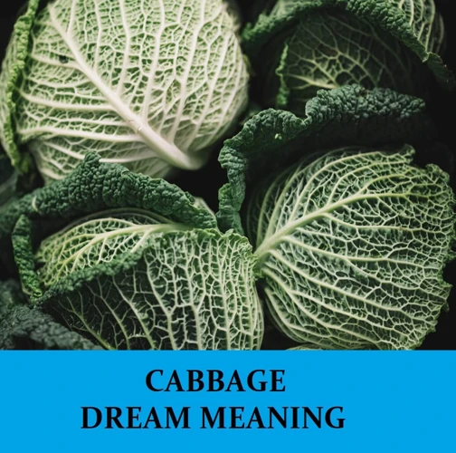 Common Dreams Featuring Cabbage