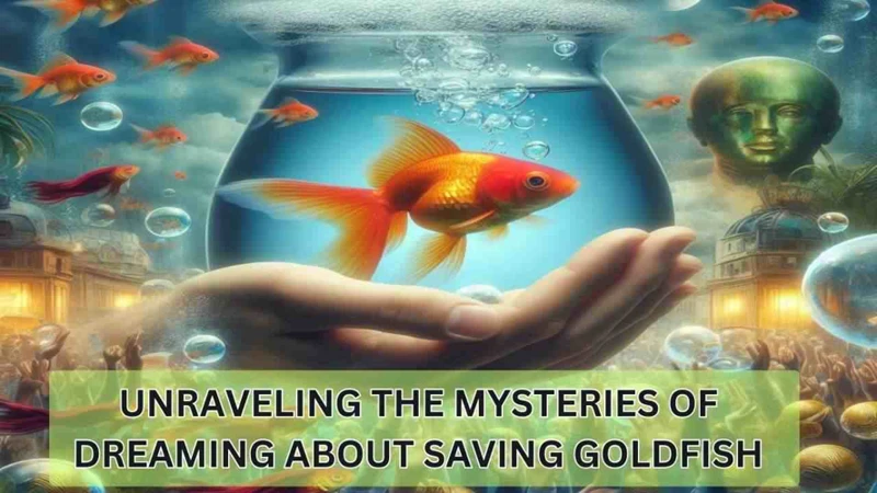 Common Goldfish Dream Scenarios