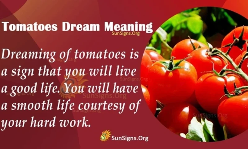 Common Interpretations Of Dreaming About Tomatoes