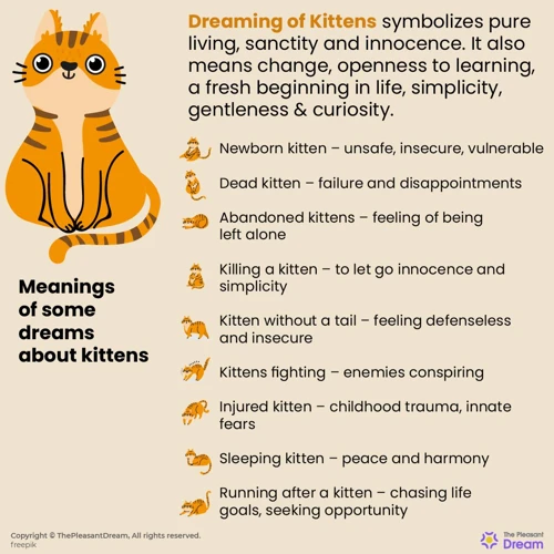 Common Kitten Dream Scenarios And Interpretations