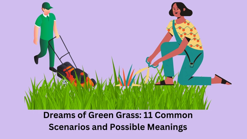 Common Scenarios Of Dreaming Of Green Grass