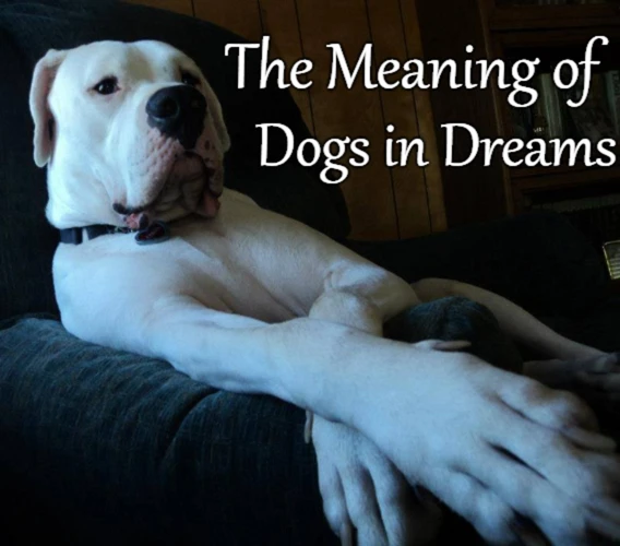 Common Symbolism Of Dogs In Dreams