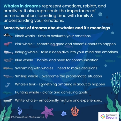 Common Themes In Whale Dreams