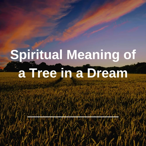 Common Tree Symbols In Biblical Dreams
