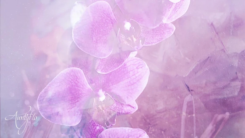 Common Types Of Purple Flowers In Dreams