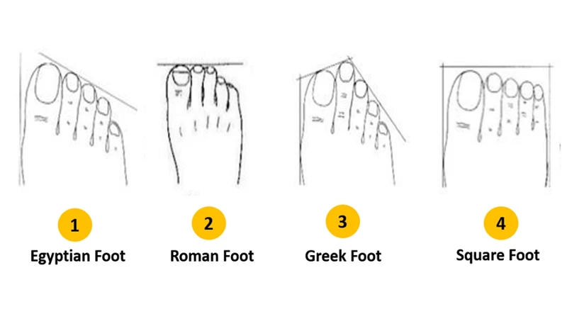 Common Types Of Toes In Dreams