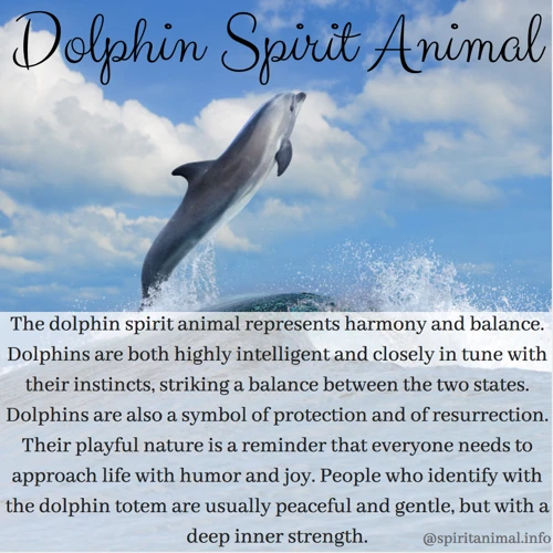 Dolphins Symbolism And Significance