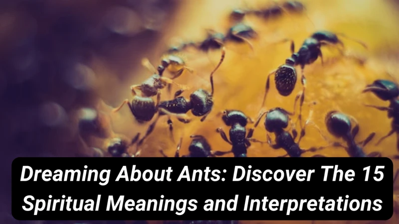 Dream Interpretations Involving Ants