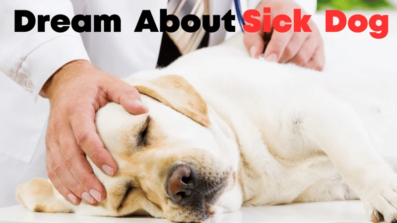 Dreams About A Sick Dog: Symbolism