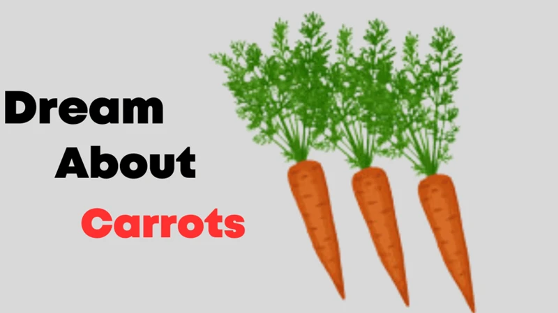 Dreams Of Carrots In Different Cultures