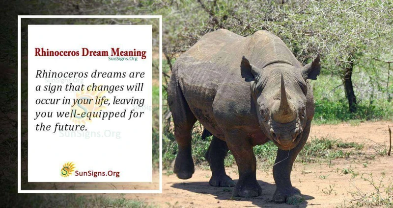 Factors Influencing Rhino Symbolism In Dreams