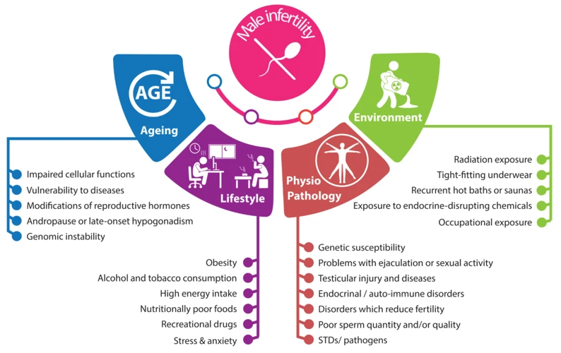 Factors Influencing Sperm Dream Meanings