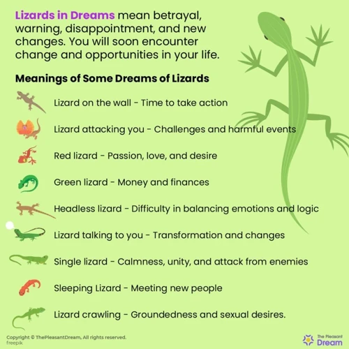 Iguanas In Dreams: Symbolism And Meanings