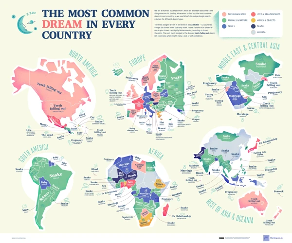 Interpretation Based On Country