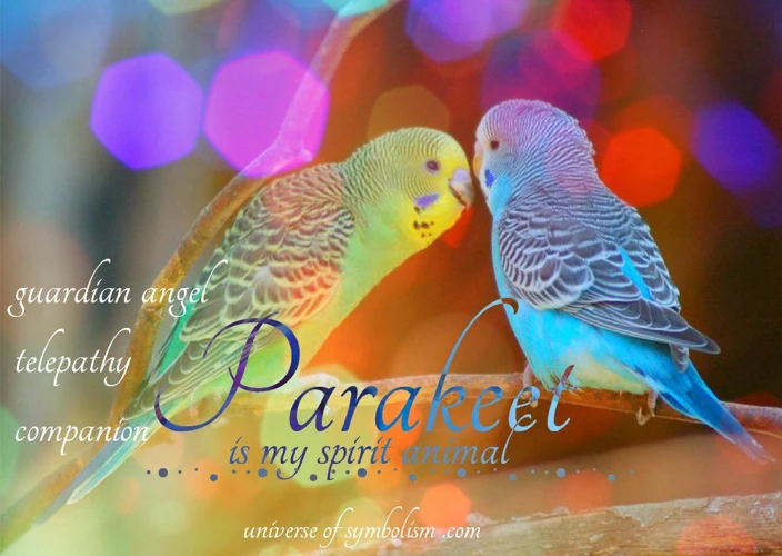 Interpretation Of Dreaming Of Parakeets