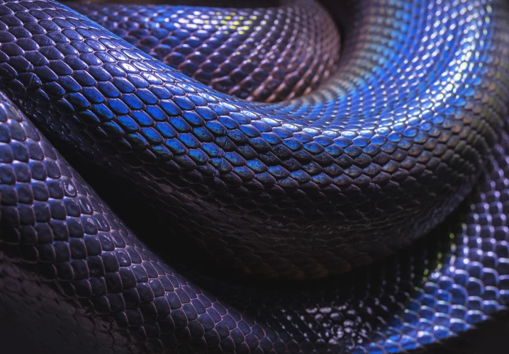 Interpretations Of A Blue Snake Dream