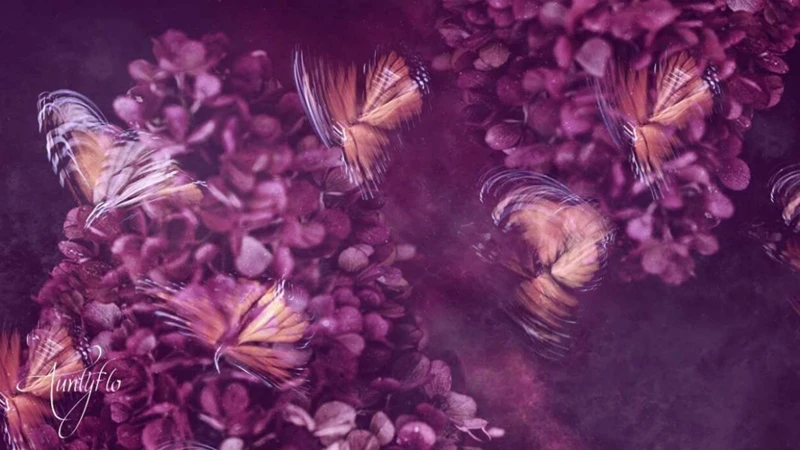 Interpretations Of Dreaming About Butterflies