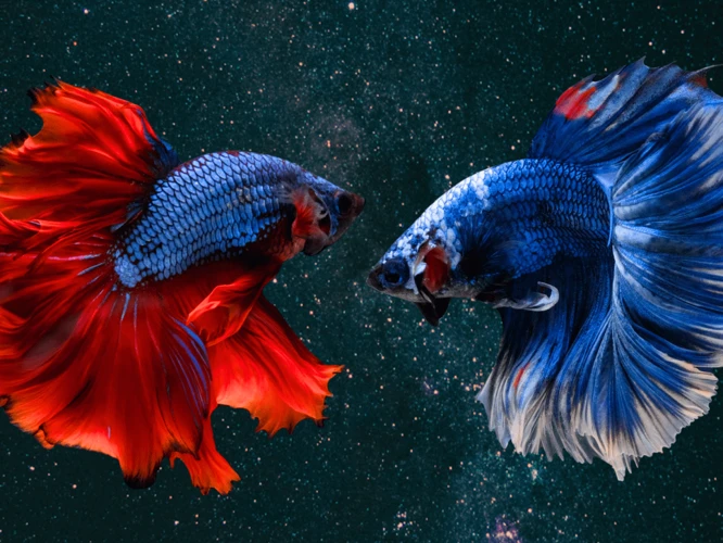 Interpretations Of Dreaming Of Blue Fish