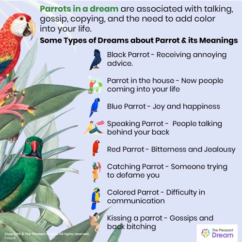 Interpretations Of Dreaming Of Parrots