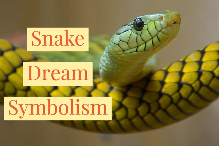 Interpreting A Black And Yellow Snake Dream