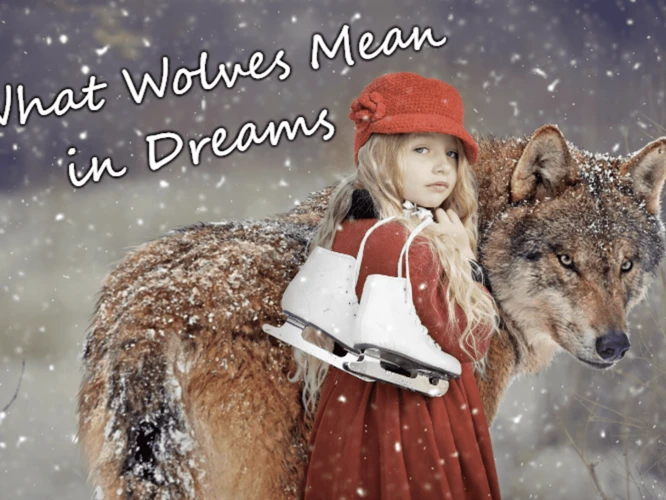 Interpreting A Dream About White Wolves