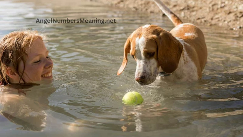 Interpreting A Drowning Dog Dream