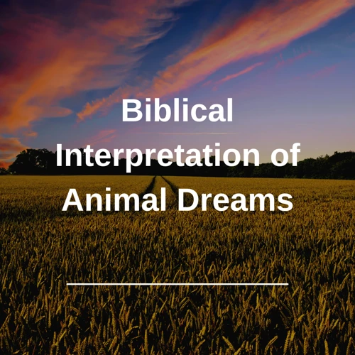 Interpreting Animal Symbolism In Dreams