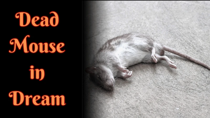 Interpreting Dead Mouse Dreams