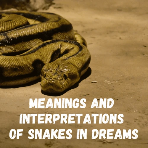 Interpreting Different Dream Rattlesnake Encounters