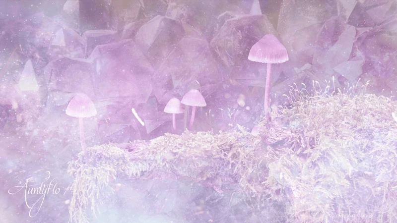 Interpreting Different Types Of Mushroom Dreams