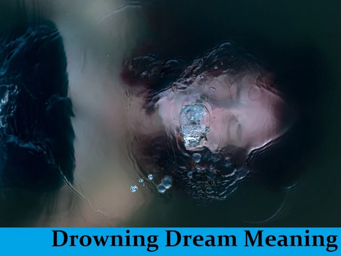 Interpreting Dog Drowning Dreams