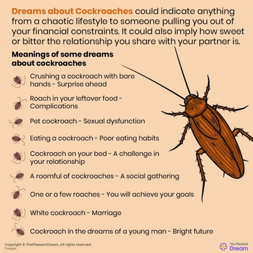 Interpreting Dream Bug Scenarios