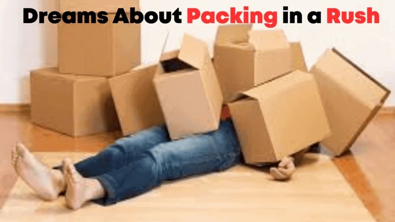 Interpreting Dreams About Packing In A Hurry