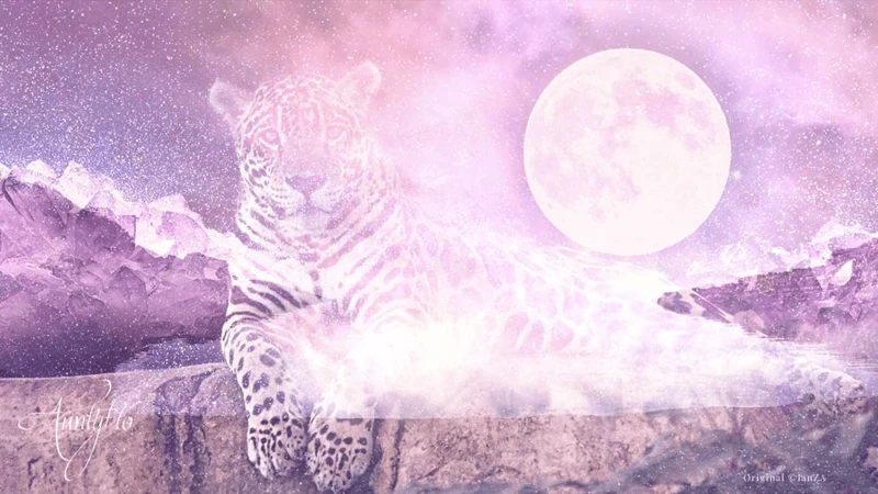 Interpreting Dreams With Jaguar