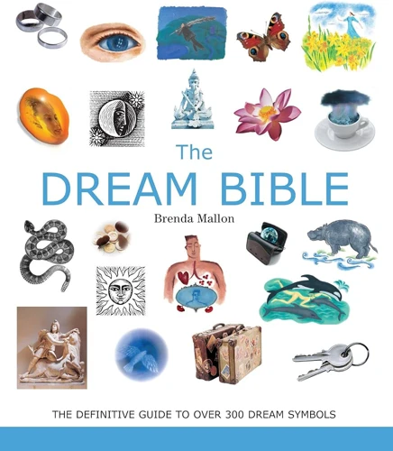 Interpreting Dreams With The Dream Bible