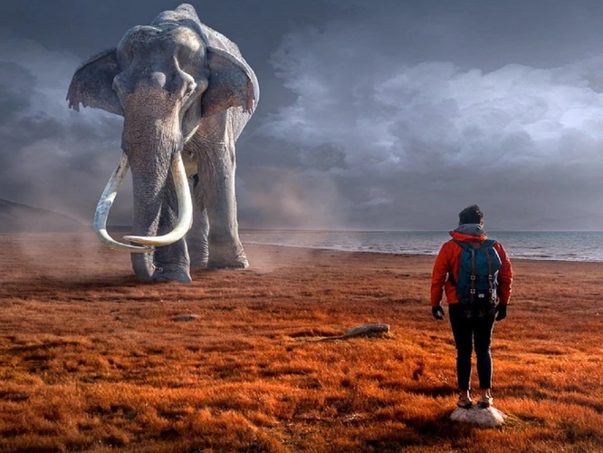 Interpreting Elephant Chasing Dreams