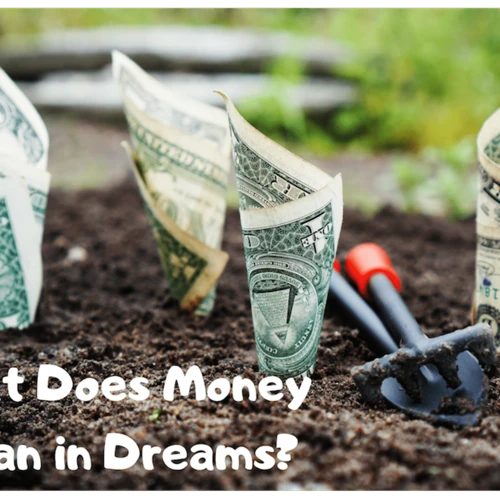 Interpreting Fake Money Dreams