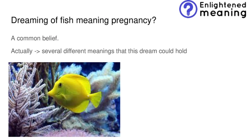 Interpreting Fish Dream Pregnancy
