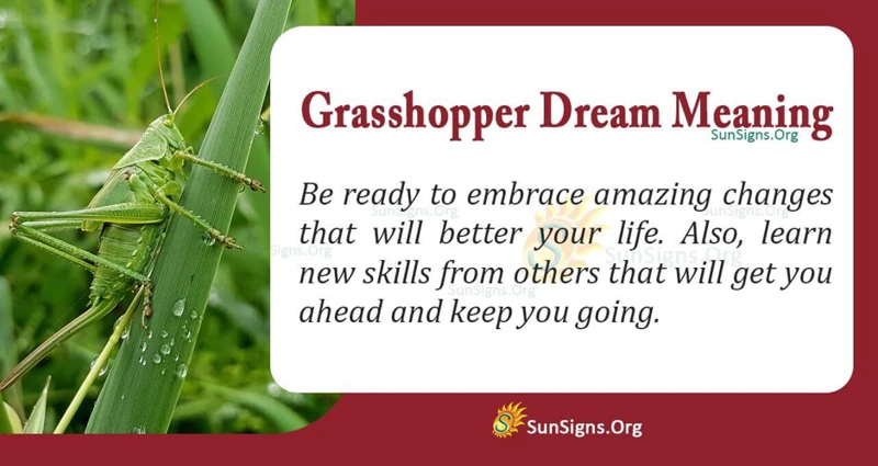 Interpreting Grasshopper Dreams
