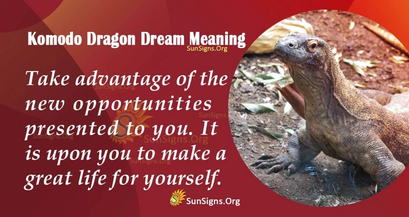 Interpreting Komodo Dragon Dreams