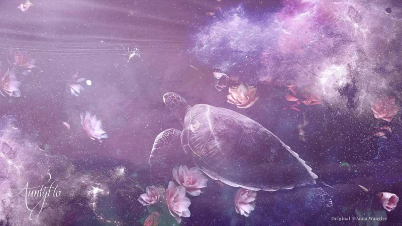 Interpreting Sea Turtle Dreams