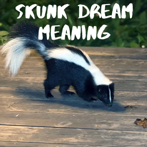 Interpreting Skunk Dreams