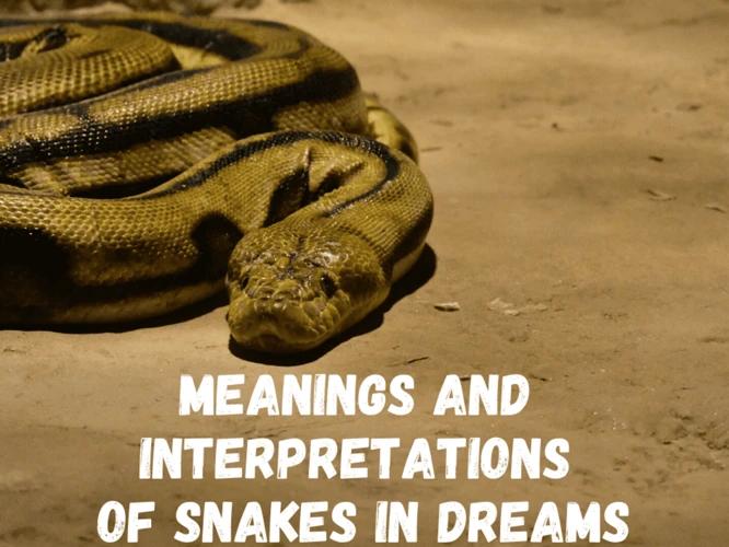 Interpreting Snake Colors And Patterns