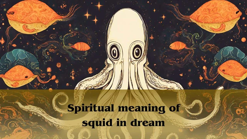 Interpreting The Colors Of Squid In Dreams