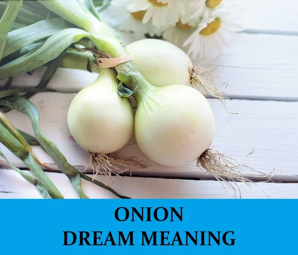 Interpreting The Meaning Of Onion Dreams
