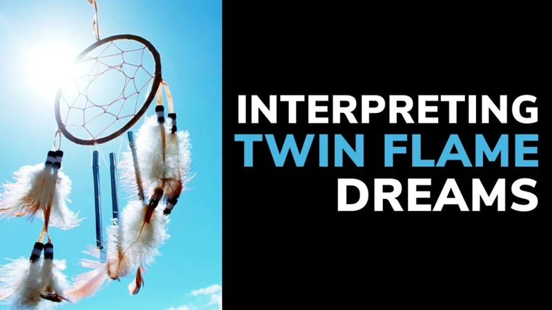 Interpreting Twin Dreams