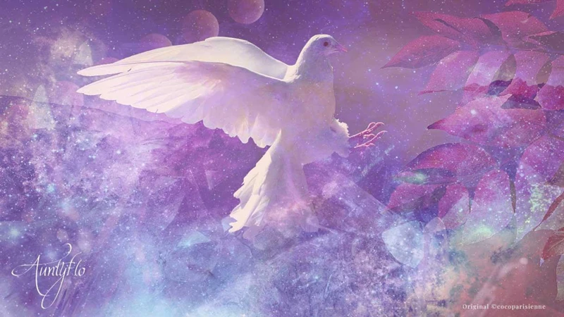 The Meaning of White Dove Dreams | SignsMystery