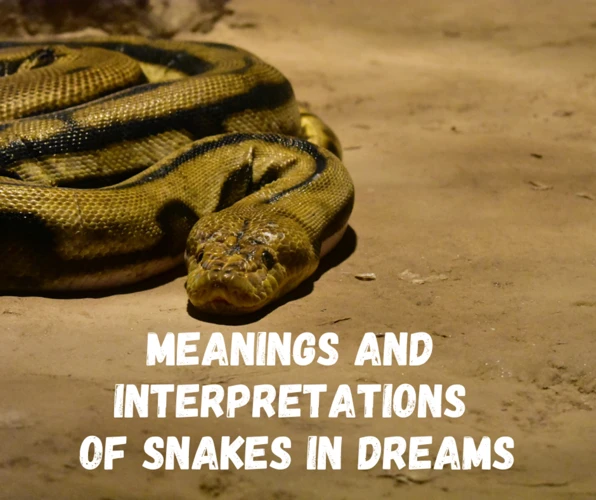 Interpreting Yellow Snakes In Dreams