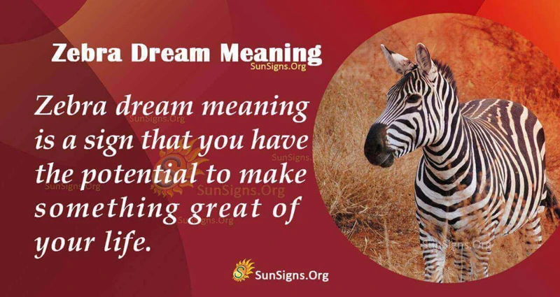 Interpreting Zebra Dream Scenarios