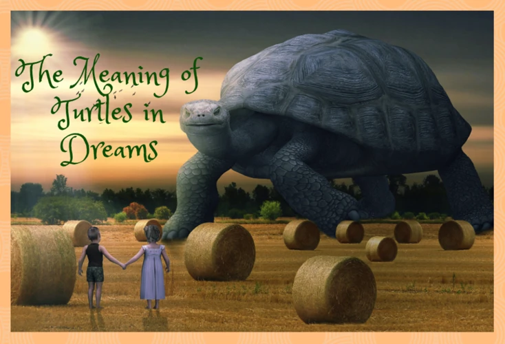 Looking Deeper Into Turtle Dream Meanings